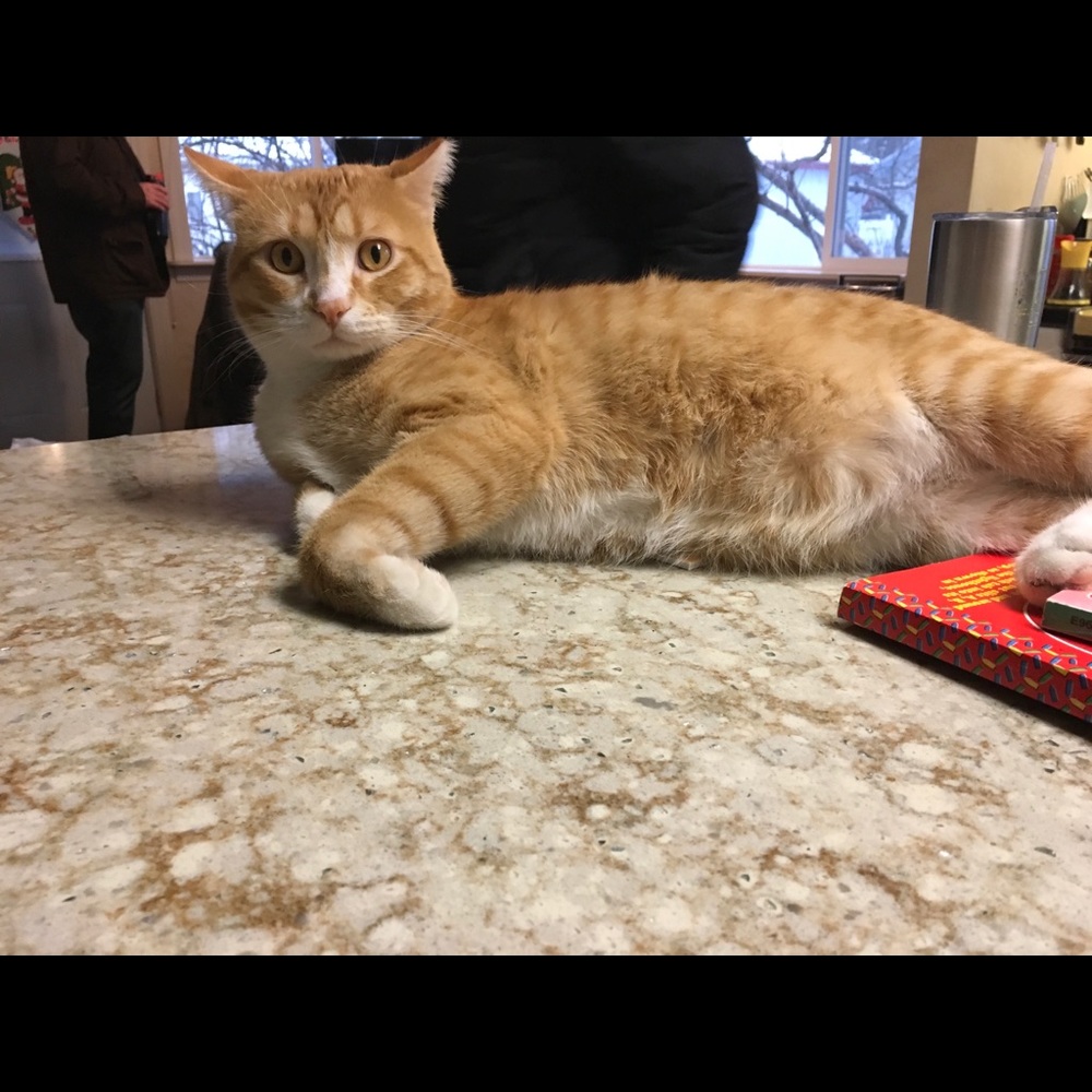 Meet your Posher, Brenda